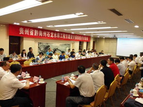 石龍水庫工程方案設計技術咨詢會議在京召開